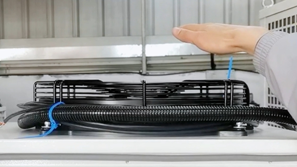 ��������Ų�